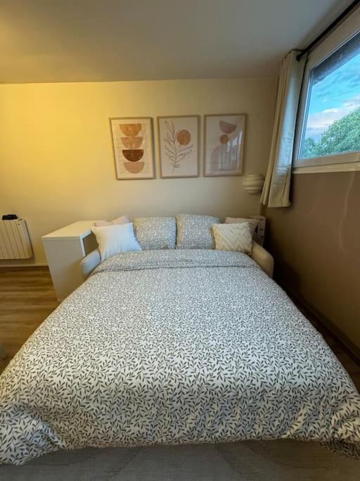 Foncine-le-Bas Studio Cosy Au Coeur Du Haut-Jura מראה חיצוני תמונה